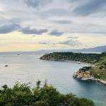 Minh Quân Dương Profile Picture