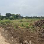 Lộc Nguyễn Profile Picture