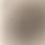 Thanh Nguyễn Profile Picture