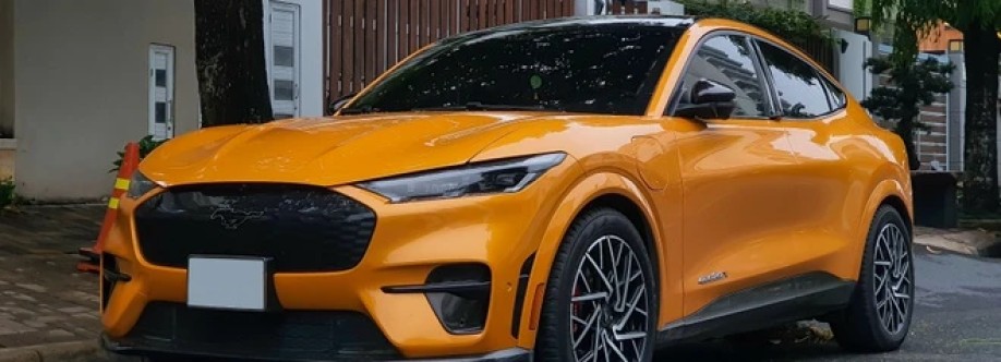 Fordmustang Nguyen Cover Image