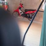 Le Duy Profile Picture