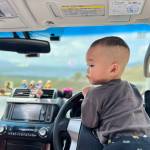 nguyen son Profile Picture