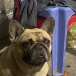 Tài Nguyễn Profile Picture