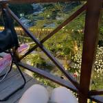 Meo meo Profile Picture