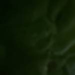 khang trịnh Profile Picture