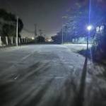 Tặng Huỳnh Profile Picture