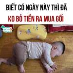 Quyen Võ Profile Picture