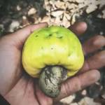 Nghia Trung Profile Picture