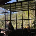 lammmm1234 Profile Picture