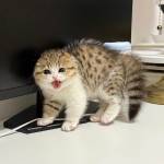 VÕ QUANG NHẬT Võ Profile Picture