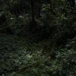 Anh Hieu Profile Picture