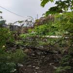 Long Nguyen Profile Picture