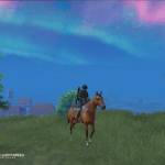 kiet nguyen Profile Picture