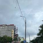 Anh Nguyen Profile Picture