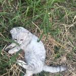 Ginnn Profile Picture