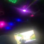 Chicken Mã Profile Picture