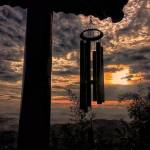 Quốc Thuận Profile Picture