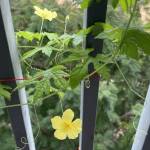 Đạt Nguyễn Thành Profile Picture