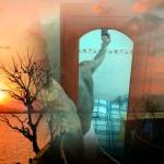 Heo Hồi Hợp Profile Picture