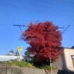 Dinh Hung Profile Picture