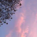 Hiệp Nguyễn Profile Picture