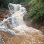 Cứ bo Bo Profile Picture