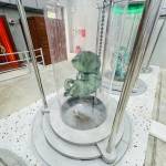 THANH THANH NGUYEN Profile Picture