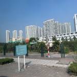 Khang Tranvi Profile Picture