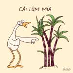 Trí Nguyễn Profile Picture