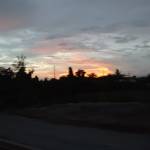 vinh Trần Profile Picture