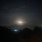 Pham Pham Profile Picture