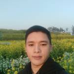 Tới Lê Profile Picture