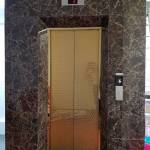 Hoangnhat123 Profile Picture