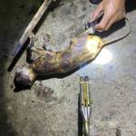 Kufjncb Profile Picture