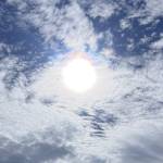 An Nguyễn Profile Picture