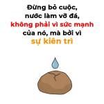 99 Vhl Profile Picture