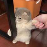 Đại Phương Profile Picture