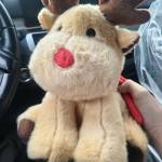 Tuong Chi Profile Picture