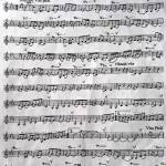 Culuane Profile Picture