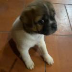 Troi cho Bap cua Profile Picture