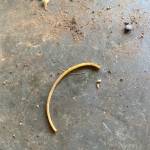 thuanvo Profile Picture