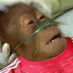 ThngNguyen Profile Picture