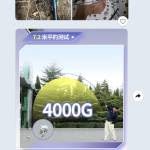 Phung Quách Profile Picture