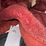 Phát Trần Profile Picture