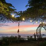 Phát Tài Profile Picture