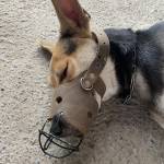 Highbury Profile Picture