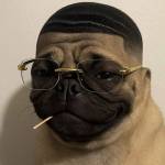 Thông Văn Profile Picture