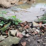 Hoang Nguyen Profile Picture