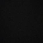 Thái Võ Profile Picture