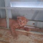 Nghĩa Nguyễn Profile Picture